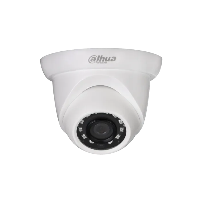  2MP IR Eyeball Network Kamera 