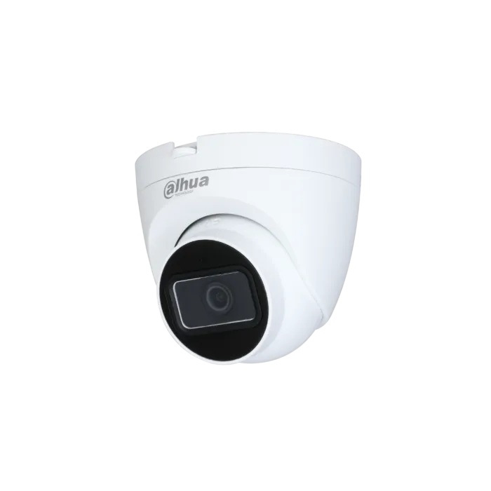 2MP IR Eyeball Network Kamera