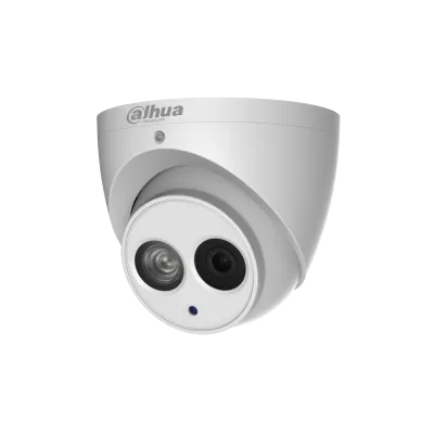  2MP IR Eyeball Network Kamera 